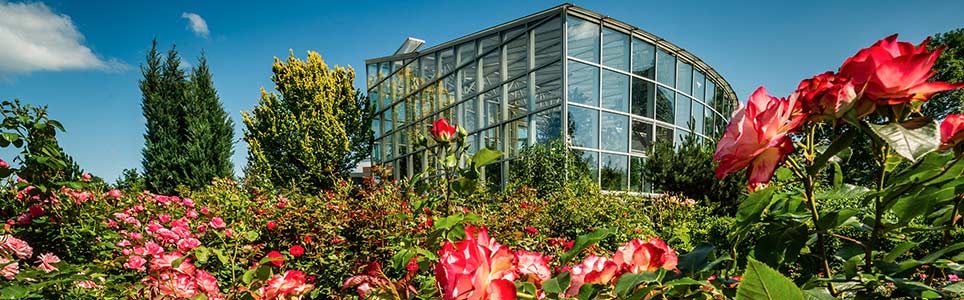 Zahrada léčivých rostlin