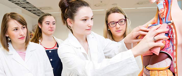 Study Pharmacy in Europe