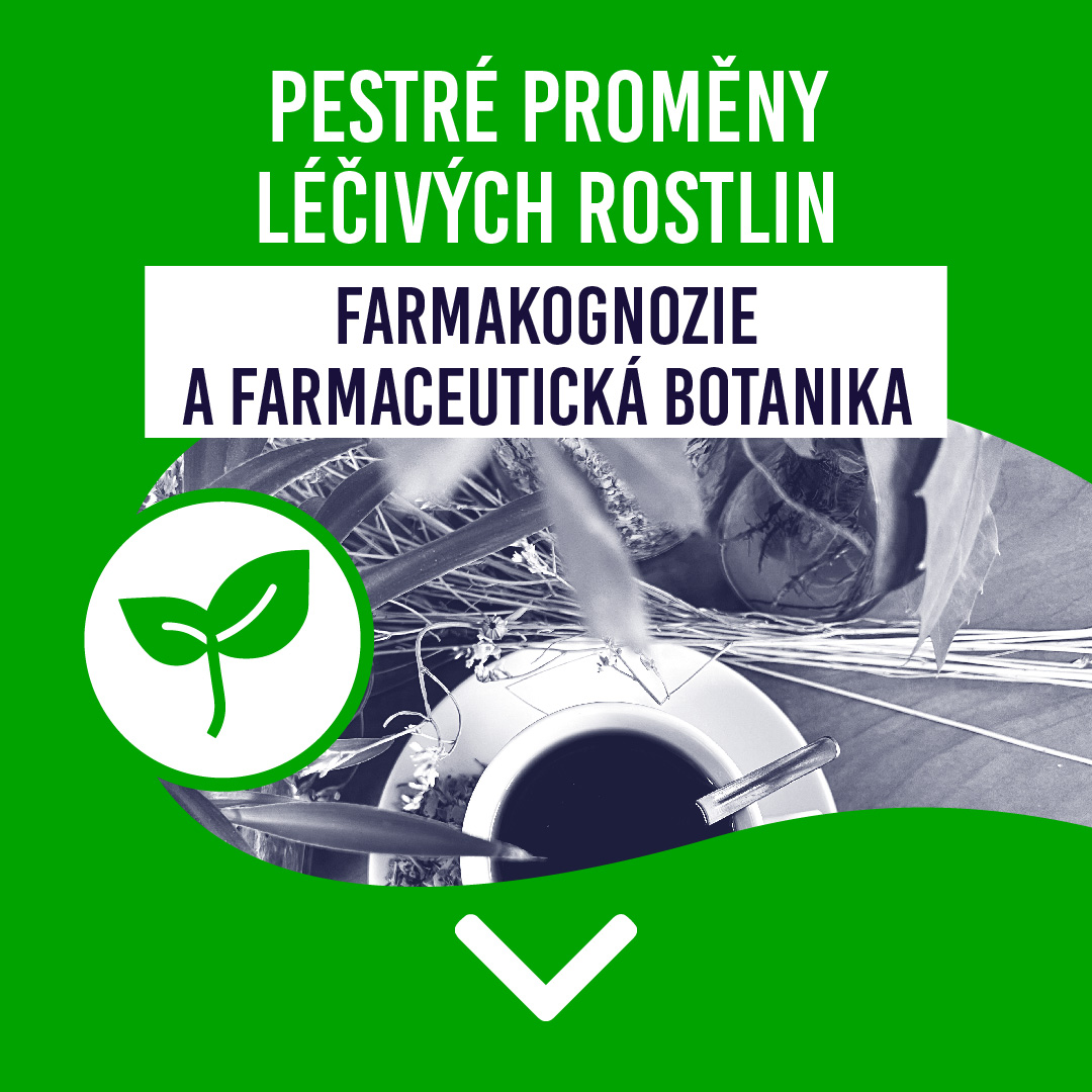 Pestré proměny léčivých rostlin