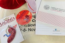 placenta-skupina-2