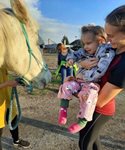 AKTUALITY-23713-version1-_img_5149_480_575