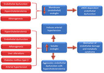 Schema