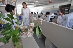 Pharmaceutical Botany, 1st section