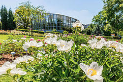 Garden of Medicinal Plants