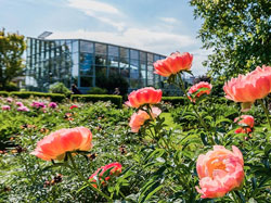 Garden of Medicinal Plants