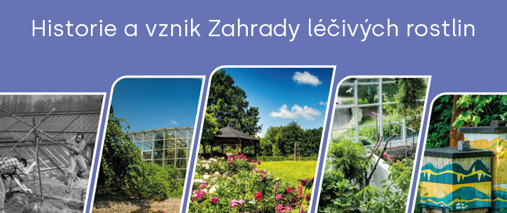 Historie a vznik Zahrady