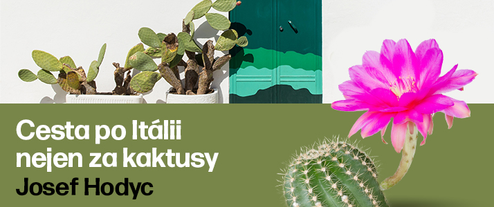zlr-banner-kaktusy-italie.jpg