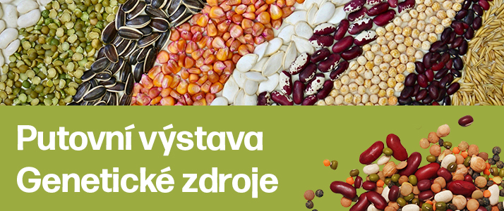 genetické zdroje