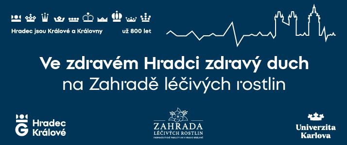 ve zdravém hradci zdravý duch