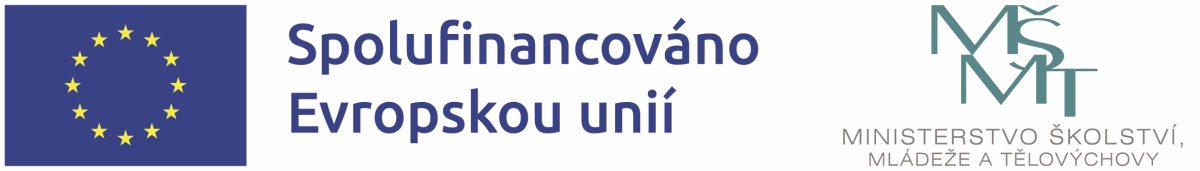logo EU MSMT
