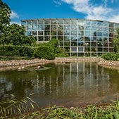 Garden of Medicinal Plants