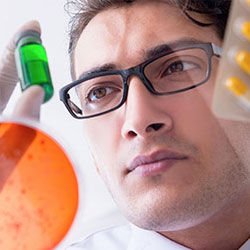 Postgraduate doctoral PhD studies