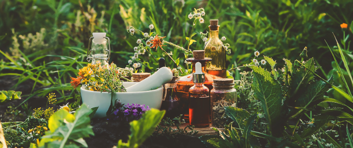 herbs-planting.png