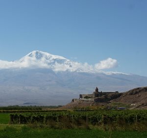 Výstava