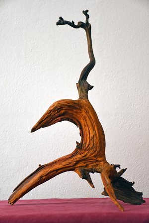Výstava