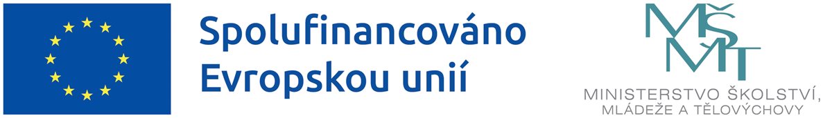 EU MSMT logo