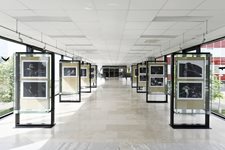DSC7898